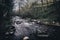 Stones in a mountain river Dukstos. Lithuania, Neris regional park