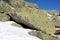 The stones are near ski slope in Jasna Low Tatras