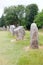 Stones in the neolithic Avebury Circle