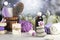 Stones, orchid flowers, burning candles, towel, massage oil, soap, washcloths, combs, abstract lights. Spa resort therapy