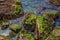 Stones overgrown with green seaweed and black shells in the Black Sea Ukraine - view from above