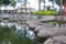 Stones path on pond with blurry trees as background