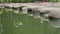 Stones path on pond with blurry trees as background