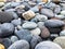 Stones, pebble stone background - pebbles