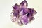 Stones purple crystals