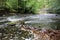 Stones and rapids in River Bode