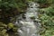 Stones and rapids in River Bode