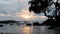 Stones, Reflection of Sun, Beach, Tree.