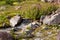 stones and rocks along alpine meadow and stream