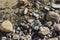 Stones and rocks in brown, gray and black on the shore of Ondina beach