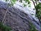 Stones and rocks of Gonzen mountain above Sargans and the river Rhine valley