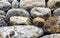 Stones rocks pinned behind a net in Mexico