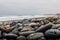 Stones Scattered Over Beach at Carlsbad State Beach