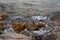 Stones on the sea beach. Pasture winter day. Clear water and sand. Kyrgyzstan, Issyk-Kul Lake