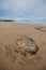 Stones and seashells arranged on sandy beach on Nosara Peninsula