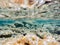 Stones and seaweed underwater Beauty world