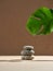 Stones stack podium, green tropical monstera leaf on beige backdrop. Platform for natural spa cosmetics presentation