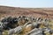 Stones at the top of a cairn known as the millers grave on midgley moor in calderdale west yorkshire with pennine moorland