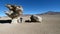 Stones tree in Bolivian Altiplano, South America.