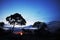 Stones and trees silhouettes at sunrise in Brazil