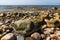 Stones of varying  are on the seashore