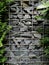 Stones wall in steel mesh wire cage texture and tree. modern loft design.