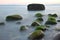 Stones with water grass. Coastal stones