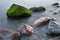 Stones with water grass. Coastal stones