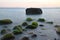 Stones with water grass. Coastal stones