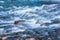 Stones in water riffle of mountain river. Powerful water stream among stones in mountain creek with rapids. Fast flow among rocks