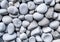 Stones white color and various shape background.White stones texture.Macro.AI Generative