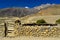 Stonewall in nepal rural