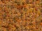 Stonewall texture - brown stones