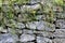 Stonework behind metal mesh with long climbing weed. Part of reinforced soil wall. Natural protection against landslide, earth