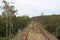 The Stoney Creek Trestle Bridge