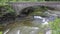 Stony bridge over Taughannock creek