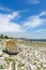 Stony coastline against scenic cloudscape