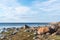 Stony coastline in spring season