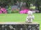 A stony decorative angel on top of an old gravestone