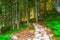 A stony hiking trail around Lake Morskie Oko