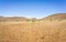 Stony landscape with scattered mopani trees