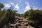 Stony path beetween shrubbery under blue sky with a few clouds