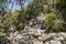 Stony path hiking trail Table Mountain National Park Cape Town