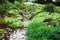 Stony path and stairs in the green garden