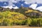 Stony Ridge Autumn in Uncompahgre National Forest