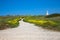 Stony road through the field with yellow flowers to the lighthouse