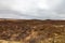 The stony rocky deserted landscape of Iceland. Toned