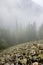 Stony slope in forested mountains through the fog.