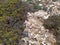 Stony soil, covered with shrubs and moss. Cyprus, Mediterranean Sea coast. Subtropical plants of Cyprus.