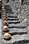 Stony stairs with cactus in Lanzarote